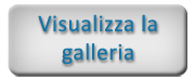 visualizza-galleria