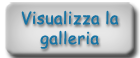 visualizza-la-galleria
